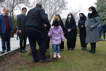 غرس ۴۰ نهال به دست اعضای سازمان دانشجویان همدان